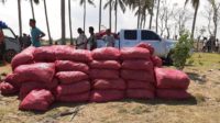 50 Ton Bawang Merah Ilegal Diamankan di Pesisir Pantai Paya Bateung Aceh Utara