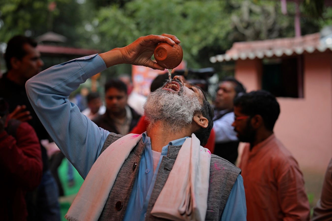 Dipercaya Bisa Tangkal Covid-19, Ratusan Orang di India Minum Urin Sapi