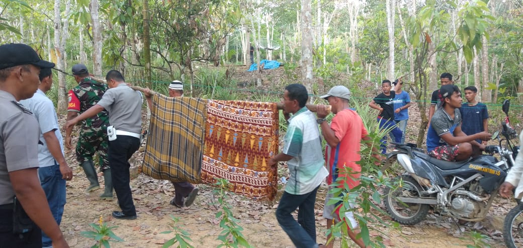 petani Petani Aceh Timur Meninggal Tersetrum Kabel Hama Babi di Kebunnya