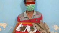 Simpan Ganja di Rumah Satu Warga Abdya Kembali Ditangkap