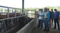 IMG-20200621-WA0037