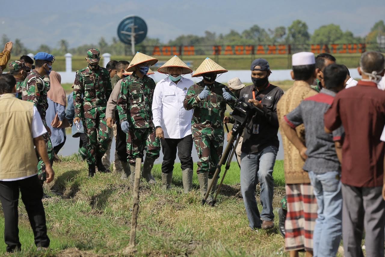 Pemerintah Aceh Perkuat Ketahanan Pangan di Masa Pandemi Covid-19