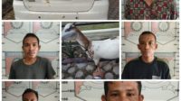 Polisi Ringkus Komplotan Pencuri Ternak di Aceh Tamiang