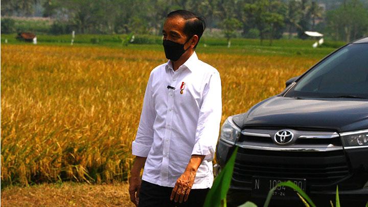 klarifikasi-pernyataan-jokowi-soal-bipang-ambawang-mendag-minta-maaf-dan-jelaskan-konteks-promosi-kuliner