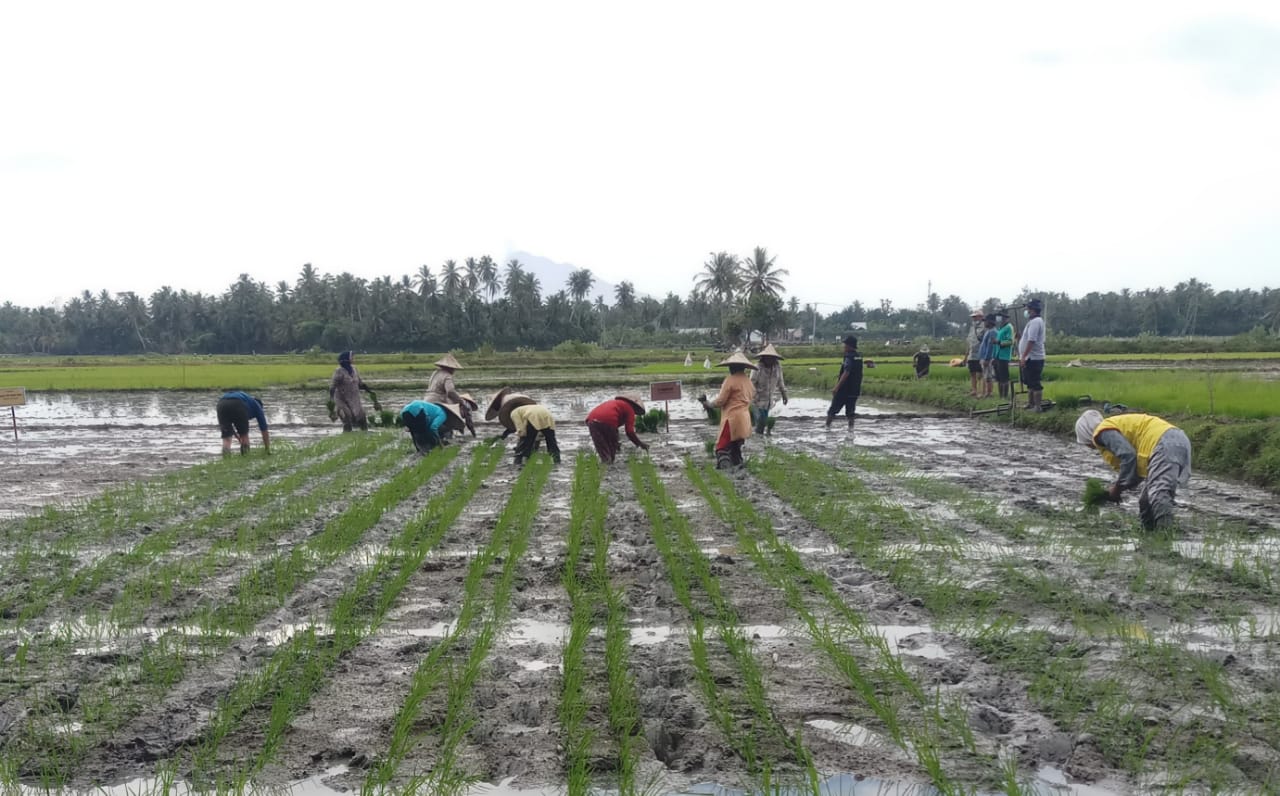 WhatsApp Image 2021-06-29 at 15.29.24 10-vub-balitbangtan-hadir-di-wilayah-kecamatan-sukamakmur-aceh-besar