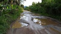 Masyarakat Kecewa Proyek Jalan Peureulak Lokop Dihentikan, Ini Harapan Geuchik