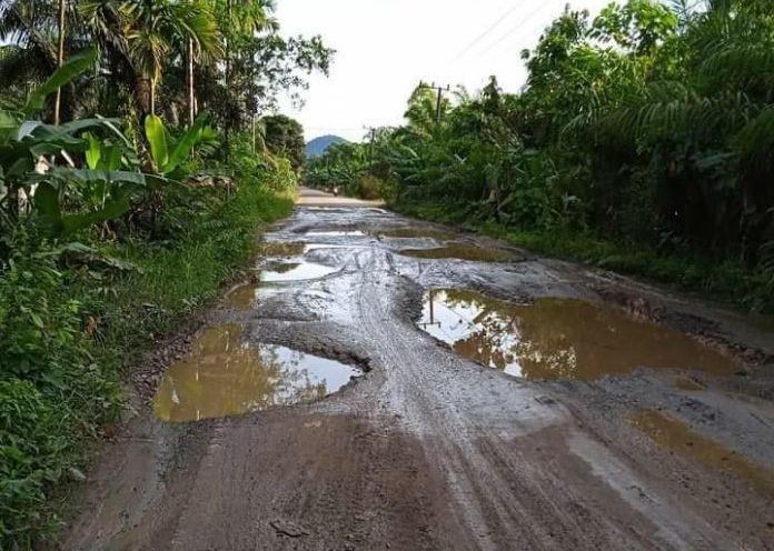 Masyarakat Kecewa Proyek Jalan Peureulak Lokop Dihentikan, Ini Harapan Geuchik