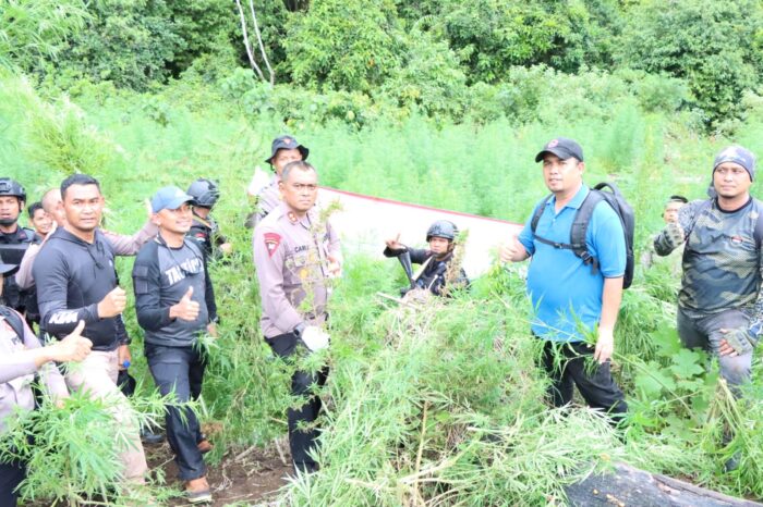 WhatsApp Image 2022-09-02 at 13.25.28 Kapolres Aceh Besar Pimpin Pemusnahan Empat Hektar Ladang Ganja
