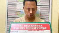 siberkreasi