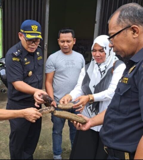 siberkreasi