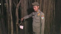 Hutan Kota Cawang Jadi Sarang LGBT Tajir Berbuat Mesum, Ada yang Naik Lexus dan CRV