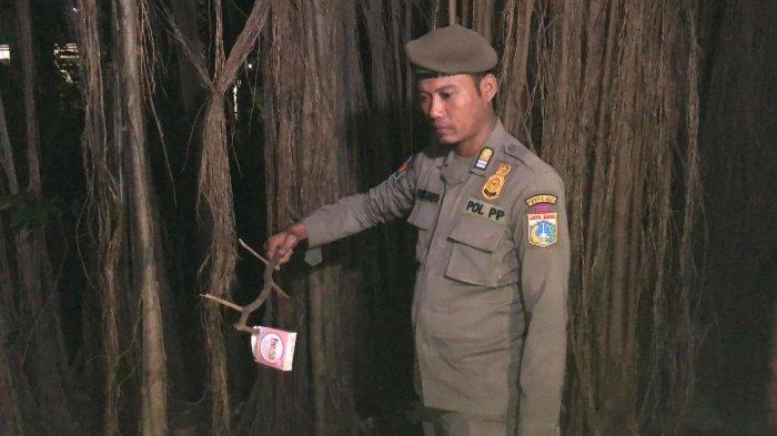 Hutan Kota Cawang Jadi Sarang LGBT Tajir Berbuat Mesum, Ada yang Naik Lexus dan CRV