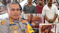 Polisi Tangkap Pelaku Perdagangan Orang Utan di Aceh Tamiang