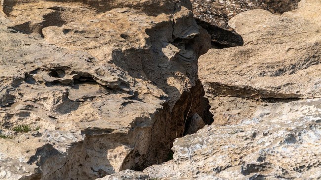 Peringatan dari BMKG, Gempa di 2 Megathrust RI Tinggal Tunggu Waktu