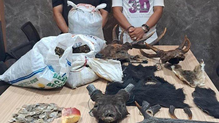 Polisi Tangkap Dua Pelaku Perdagangan Satwa Liar di Aceh Besar