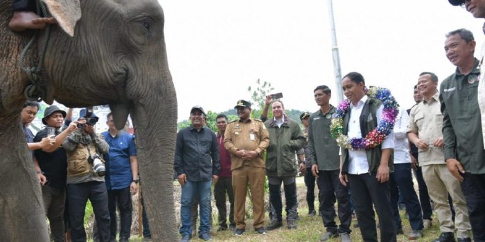 Presiden Prabowo Hibahkan 20.000 Hektare untuk Konservasi Gajah di Aceh