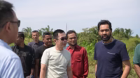 Mualem Tinjau Lahan Rencana Pembangunan Pabrik Rokok di Aceh Utara
