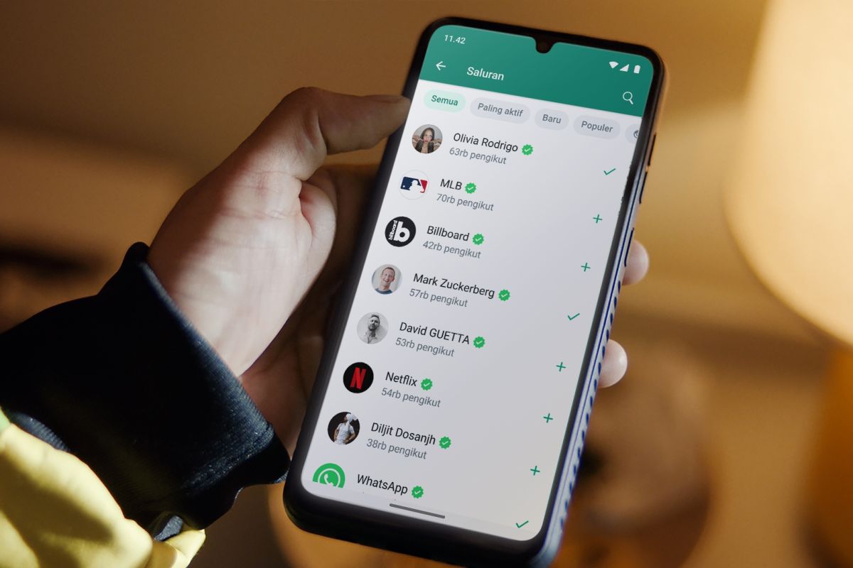 Awas Bocor! Ini 10 Tips Aman Gunakan WhatsApp