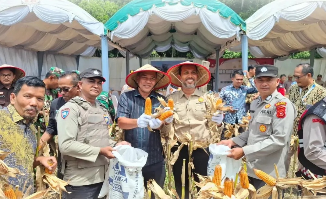Ketua DPRK Aceh Besar Dukung Swasembada Pangan Lewat Panen Raya Jagung