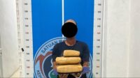 Polres Aceh Besar Tangkap Residivis Kasus Ganja di Kebun Kuta Cot Glie