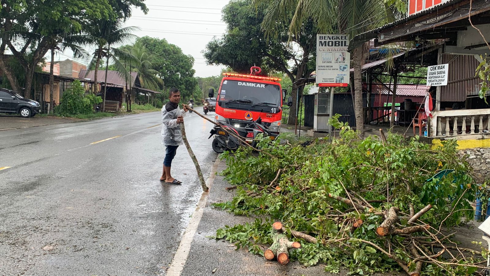 Pohon Tumbang Timpa Ruko di Aceh Besar, Tidak Ada Korban Jiwa