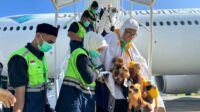 Sebanyak 3.126 Jemaah Haji Asal Aceh Telah Tiba di Tanah Air