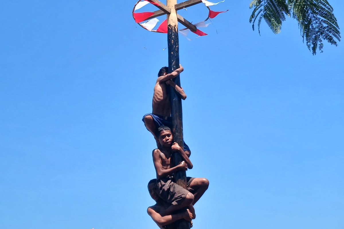aceh-barat-dan-aceh-jaya-larang-lomba-panjat-pinang-di-hut-ri-ke-80 Aceh Barat dan Aceh Jaya Larang Lomba Panjat Pinang di HUT RI ke-80