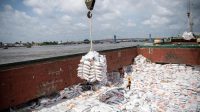 RI–AS Sepakati Perjanjian Dagang, Impor 1.000 Ton Beras hingga 580 Ribu Ayam