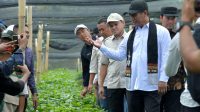 Mentan Amran Siapkan 17 Juta Bibit Unggul, Kopi Gayo Siap Jadi Motor Ekspor Nasional