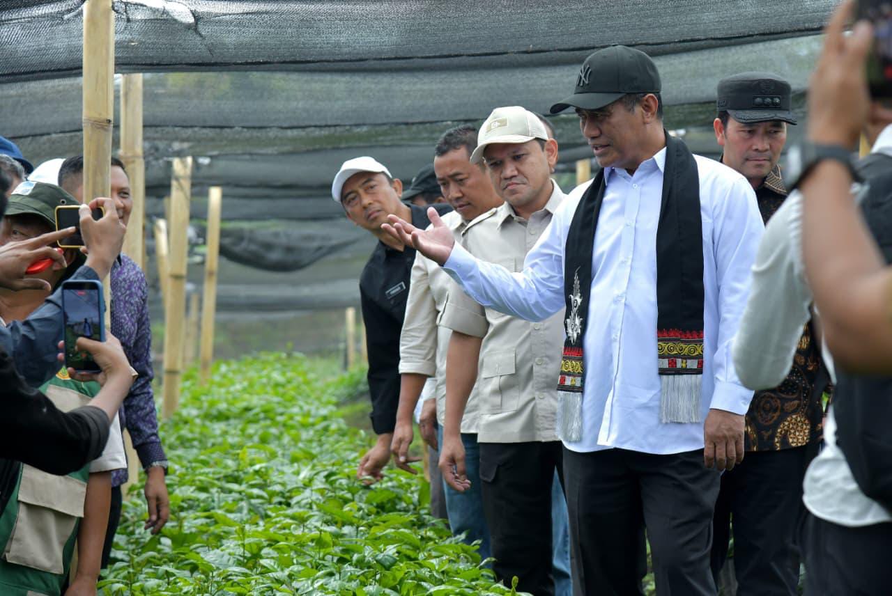 Mentan Amran Siapkan 17 Juta Bibit Unggul, Kopi Gayo Siap Jadi Motor Ekspor Nasional