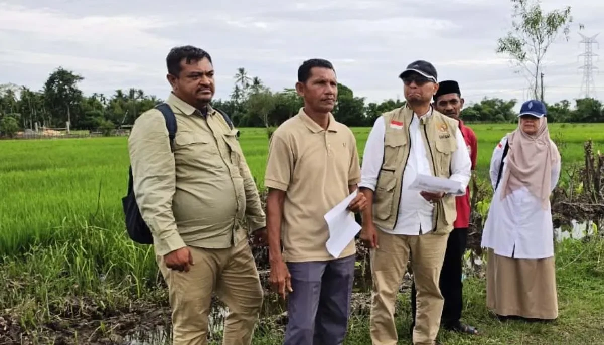 Dana Swakelola Cair, 1.308 Hektare Sawah Terdampak Banjir di Aceh Barat Segera Dipulihkan