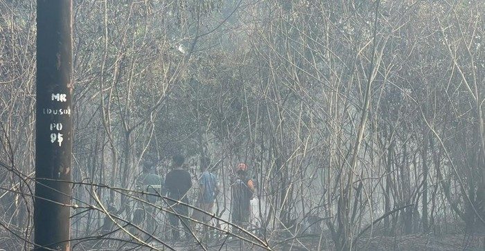 Demi Hemat Biaya, Puluhan Tersangka Karhutla Nekat Bakar Lahan di 9 Wilayah