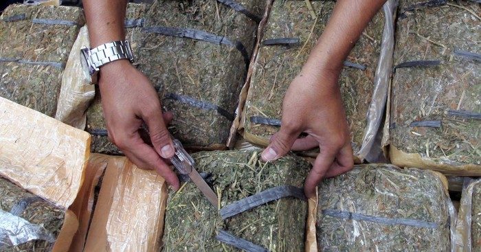 Gagalkan Penyelundupan 169 Kg Ganja Asal Aceh di Deli Serdang, Polda Sumut Ringkus Tiga Tersangka