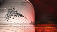 Gempa Susulan NTT Belum Berhenti, BNPB Catat 9.765 Kejadian dan Masih Berpotensi Terjadi