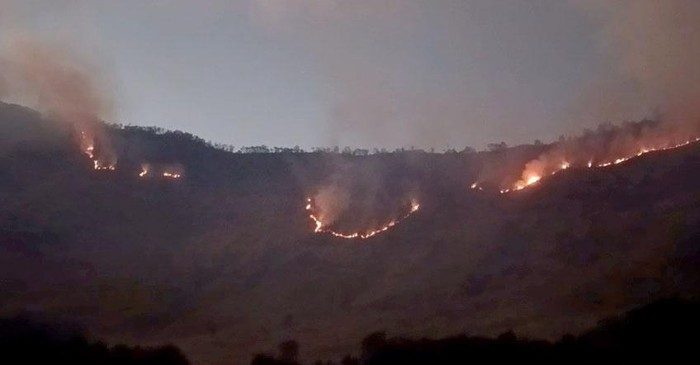 Kebakaran Hutan Merembet ke Savana Gunung Bromo!