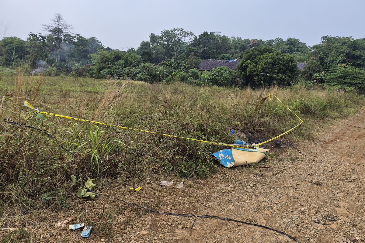Kenalan Lewat Media Sosial Berakhir Tragis, Terungkap Kronologi Kasus Mutilasi Depok
