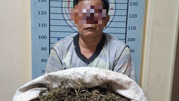 simpan-47-kg-ganja-di-bawah-ranjang-warga-ketambe-aceh-tenggara-diringkus-polisi
