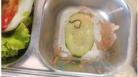 Diduga Ada Cacing di Menu MBG SMAN 1 Tapaktuan, Sekolah Minta Makanan Diperiksa Lebih Teliti