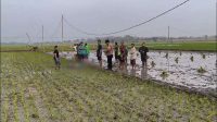Dua Perempuan di Bojonegoro Tewas Tersengat Listrik Jebakan Tikus di Sawah