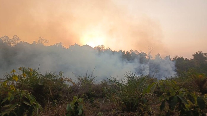 Tiga Desa di Aceh Barat Dikepung Karhutla, Akses Sulit dan Minimnya Air Hambat Pemadaman