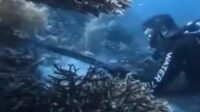 WN China Panah dan Santap Penyu Sisik di Raja Ampat, Imigrasi Kejar hingga Makassar